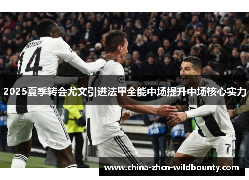 2025夏季转会尤文引进法甲全能中场提升中场核心实力 2025夏季转会尤文引进法甲全能中场提升中场核心实力