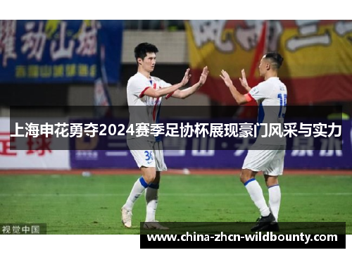 上海申花勇夺2024赛季足协杯展现豪门风采与实力